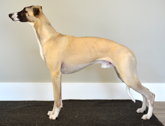 Alaska 17 months stackedDSC_0959sm