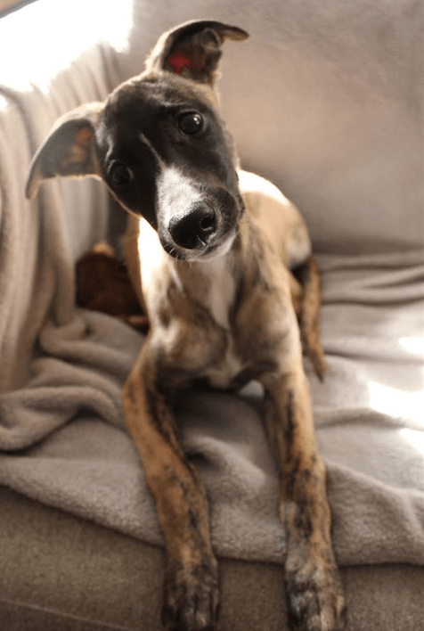 Screen Shot 2015-02-02 at 5.18.53 PM