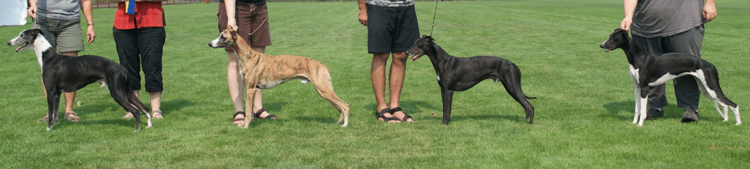 Screen Shot 2015-08-23 at 7.35.38 PM